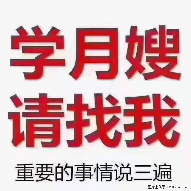 为什么要学习月嫂，育婴师？ - 其他广告 - 广告专区 - 阳江分类信息 - 阳江28生活网 yj.28life.com