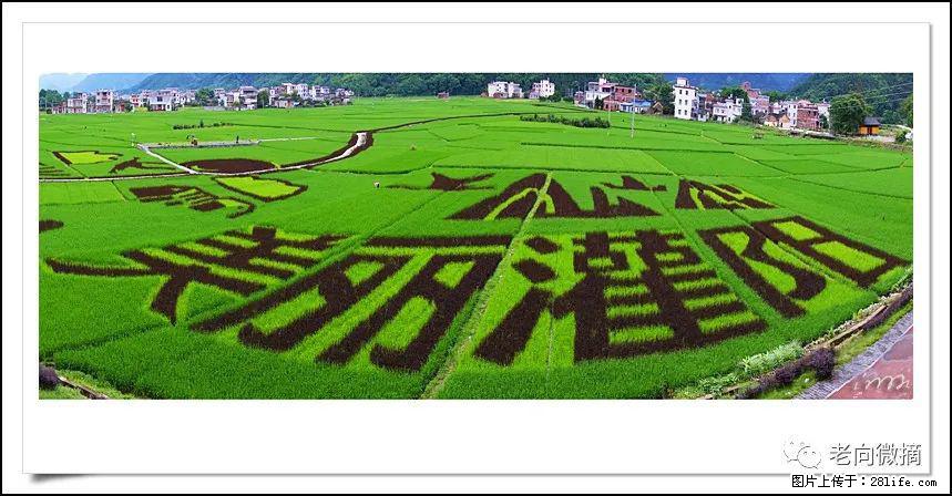 【春天，广西桂林灌阳县向您发出邀请！】开篇 - 游山玩水 - 阳江生活社区 - 阳江28生活网 yj.28life.com