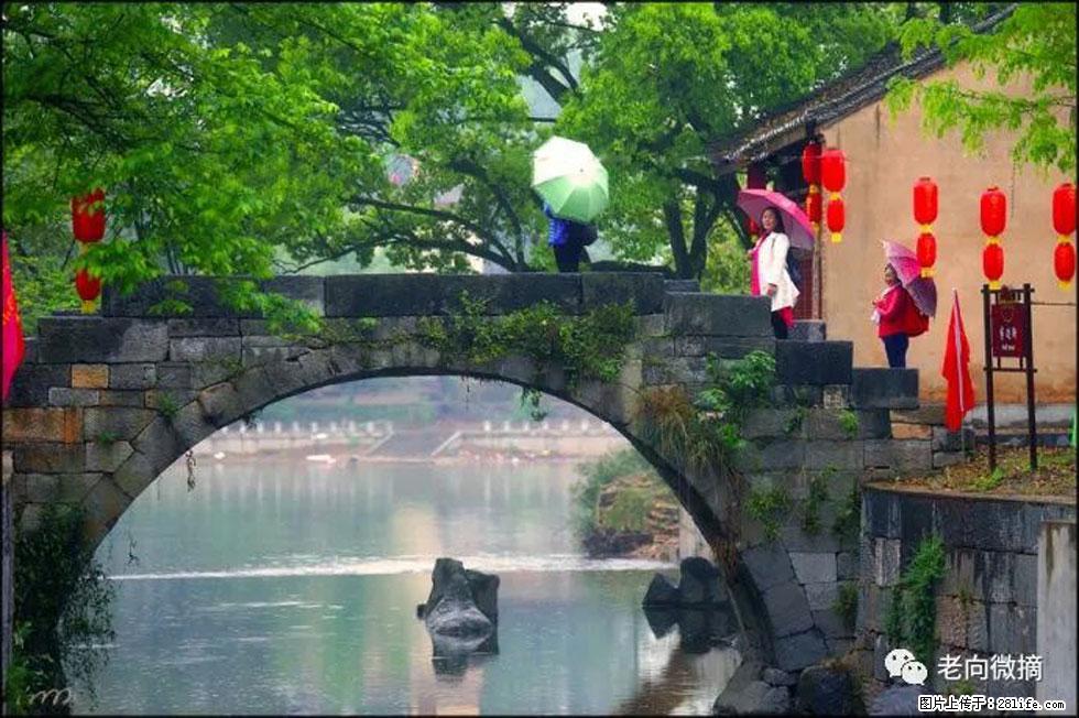 【春天,广西桂林灌阳县向您发出邀请!】江口老街又逢春 - 游山玩水 - 阳江生活社区 - 阳江28生活网 yj.28life.com