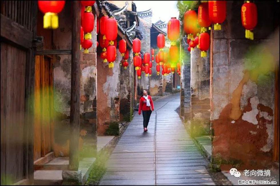 【春天,广西桂林灌阳县向您发出邀请!】江口老街又逢春 - 游山玩水 - 阳江生活社区 - 阳江28生活网 yj.28life.com