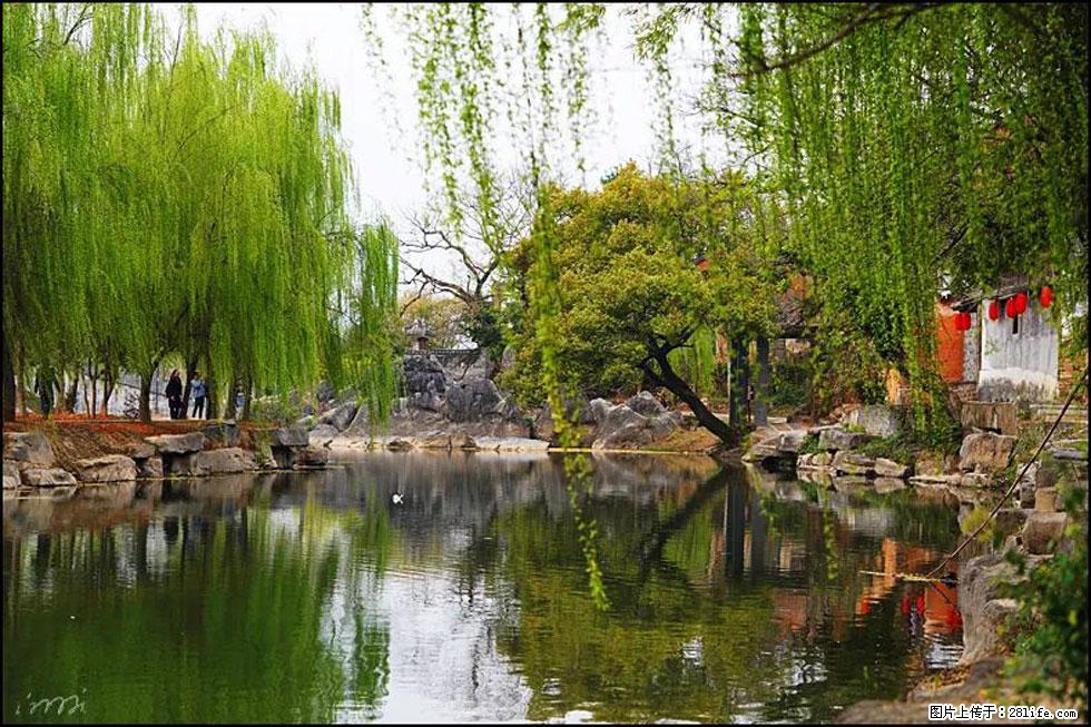 【春天,广西桂林灌阳县向您发出邀请!】江口老街又逢春 - 游山玩水 - 阳江生活社区 - 阳江28生活网 yj.28life.com