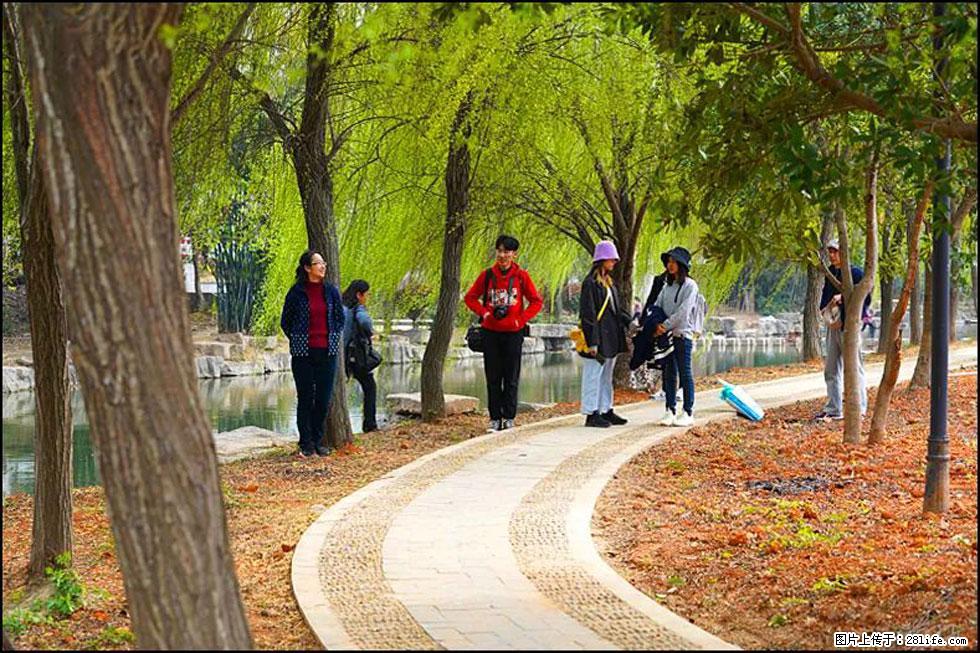 【春天,广西桂林灌阳县向您发出邀请!】江口老街又逢春 - 游山玩水 - 阳江生活社区 - 阳江28生活网 yj.28life.com