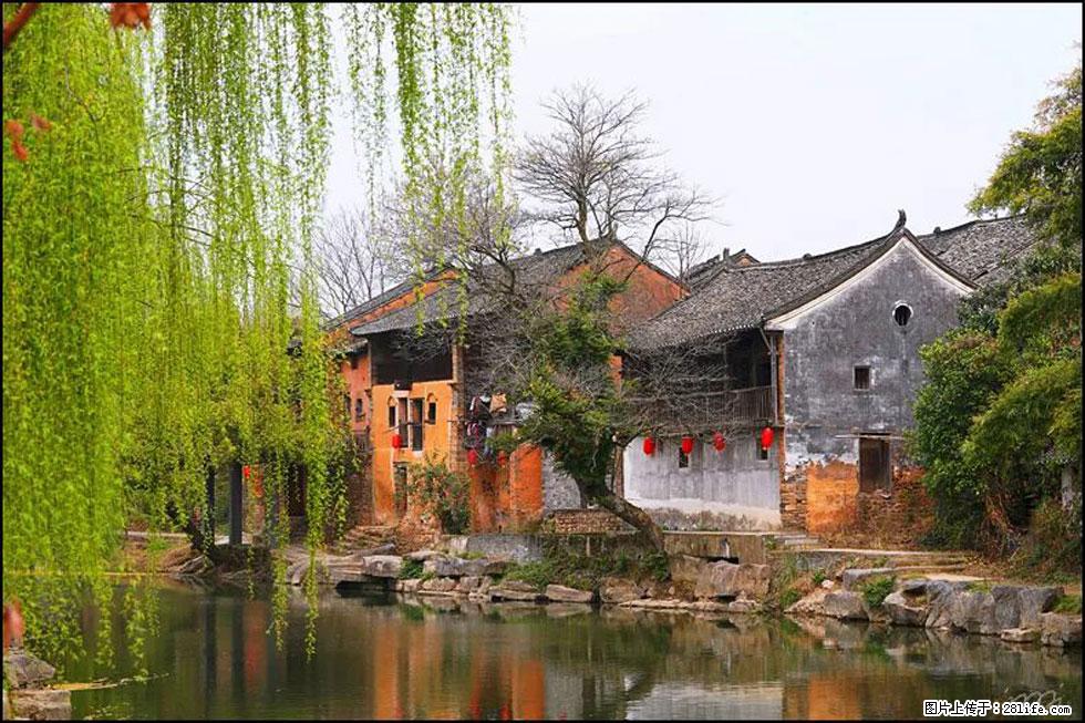 【春天,广西桂林灌阳县向您发出邀请!】江口老街又逢春 - 游山玩水 - 阳江生活社区 - 阳江28生活网 yj.28life.com