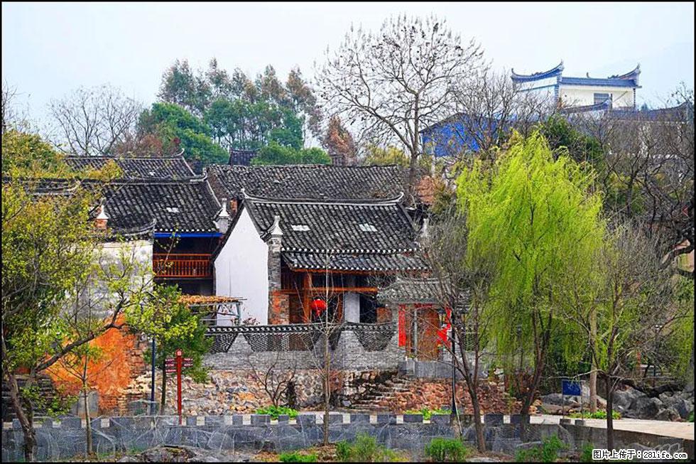 【春天,广西桂林灌阳县向您发出邀请!】江口老街又逢春 - 游山玩水 - 阳江生活社区 - 阳江28生活网 yj.28life.com