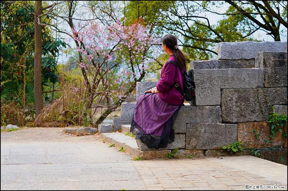 【春天,广西桂林灌阳县向您发出邀请!】江口老街又逢春 - 游山玩水 - 阳江生活社区 - 阳江28生活网 yj.28life.com