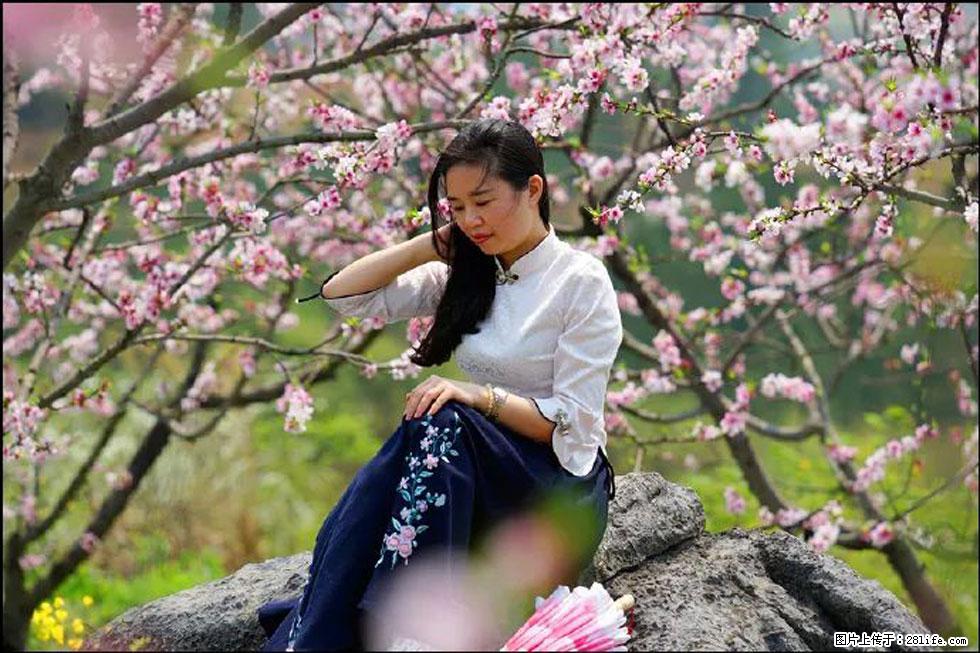 【春天，广西桂林灌阳县向您发出邀请！】望月岭上桃花开 - 游山玩水 - 阳江生活社区 - 阳江28生活网 yj.28life.com