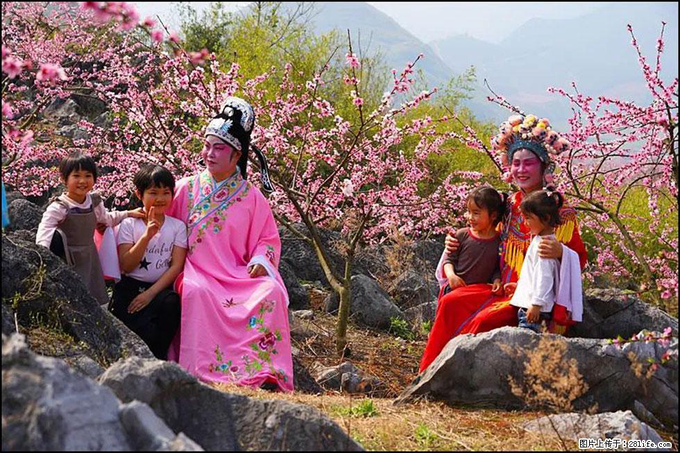 【春天，广西桂林灌阳县向您发出邀请！】望月岭上桃花开 - 游山玩水 - 阳江生活社区 - 阳江28生活网 yj.28life.com