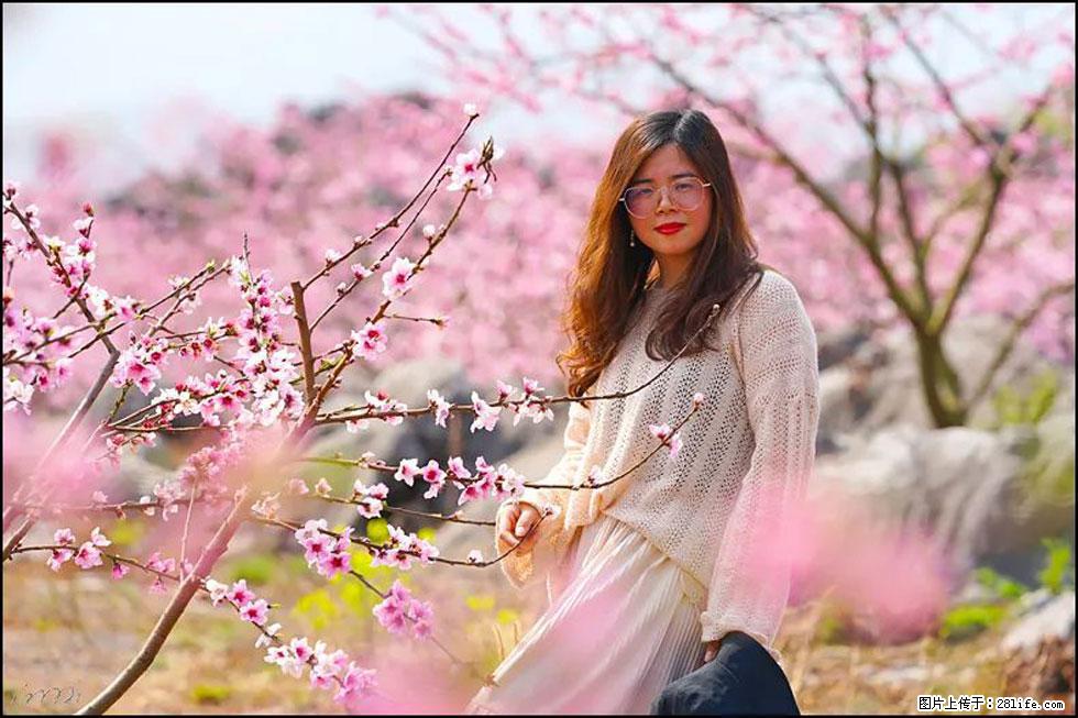 【春天，广西桂林灌阳县向您发出邀请！】望月岭上桃花开 - 游山玩水 - 阳江生活社区 - 阳江28生活网 yj.28life.com