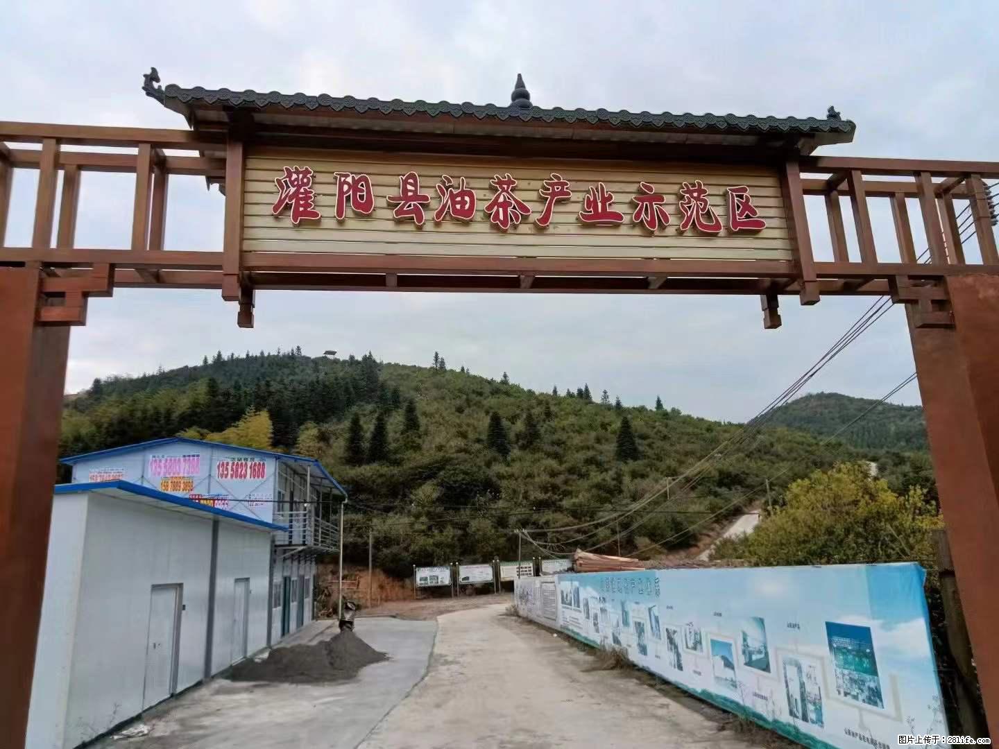 【灌阳县油茶产业示范区】一个有着充实的精神生活的人，对待身外之物自会有一种淡泊的态度 - 土特产 - 饮食特产 - 阳江分类信息 - 阳江28生活网 yj.28life.com