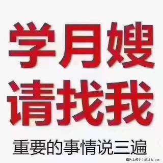 为什么要学习月嫂，育婴师？ - 阳江28生活网 yj.28life.com