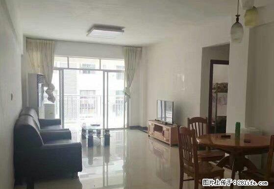 阳东金紫园 精装3房 超新净拎包入住 - 房屋出租 - 房屋租售 - 阳江分类信息 - 阳江28生活网 yj.28life.com