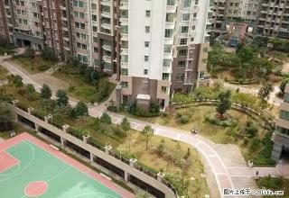 丰怡豪庭 80方2房 东南向靓楼层 家具齐全刚入伙出租 - 阳江28生活网 yj.28life.com