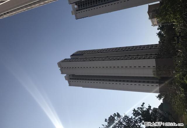 图片真实，中珠在水一方，全新两房出租 - 房屋出租 - 房屋租售 - 阳江分类信息 - 阳江28生活网 yj.28life.com