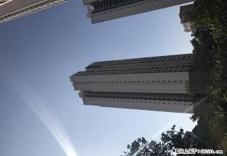 图片真实，中珠在水一方，全新两房出租 - 阳江28生活网 yj.28life.com