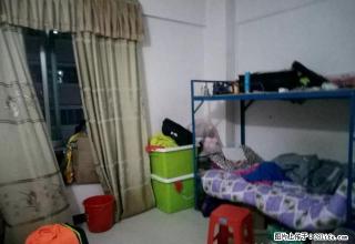 低层两房，家电齐全，租金平宜，价格美丽，值得租 - 阳江28生活网 yj.28life.com