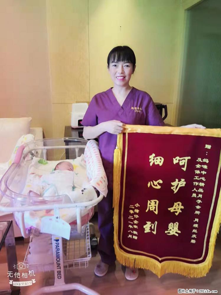 上海高端月子会所招新手月嫂，零基础带教，包吃住 - 职场交流 - 阳江生活社区 - 阳江28生活网 yj.28life.com