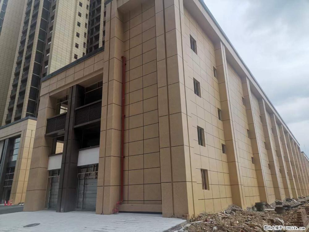 【广西三象建筑安装工程有限公司】外墙涂料工程 - 新手上路 - 阳江生活社区 - 阳江28生活网 yj.28life.com