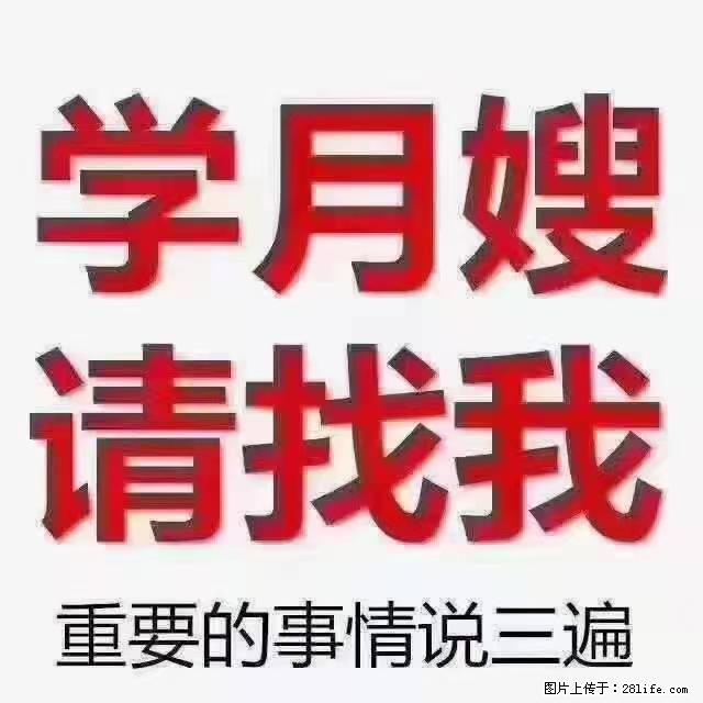 【招聘】月嫂,上海徐汇区 - 职场交流 - 阳江生活社区 - 阳江28生活网 yj.28life.com