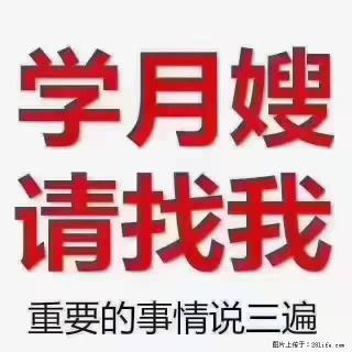 【招聘】月嫂，上海徐汇区 - 阳江28生活网 yj.28life.com