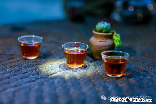 时间果百年古树2025年春红茶 - 购物交流 - 阳江生活社区 - 阳江28生活网 yj.28life.com