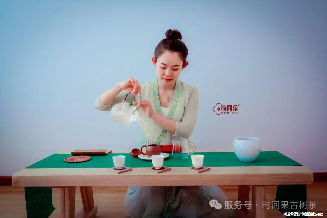 时间果百年古树龙珠普洱生茶 - 购物交流 - 阳江生活社区 - 阳江28生活网 yj.28life.com