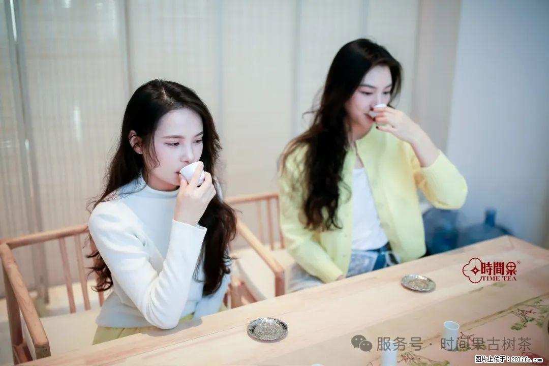 时间果百年古树龙珠普洱生茶 - 购物交流 - 阳江生活社区 - 阳江28生活网 yj.28life.com