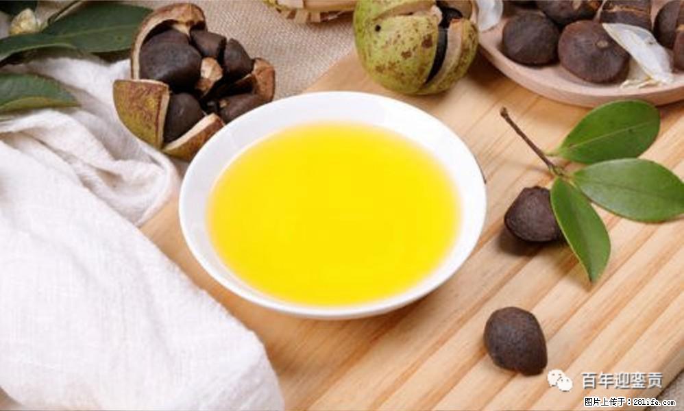 揭秘茶油的5大核心营养成分!被称为人体健康的“守护盾”! - 阳江生活资讯 - 阳江28生活网 yj.28life.com