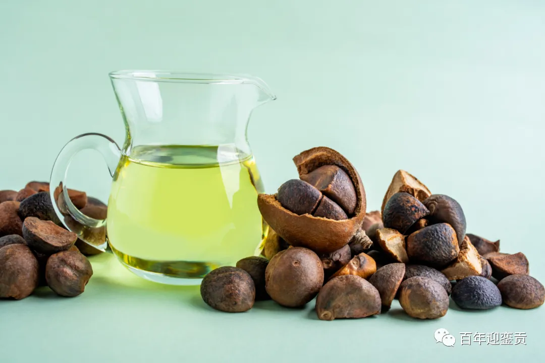 世界没有真相,只有认知,最好的食用油是中国的山茶油! - 阳江生活资讯 - 阳江28生活网 yj.28life.com