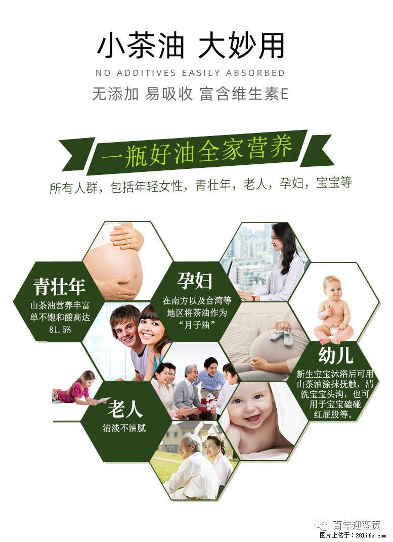 世界没有真相,只有认知,最好的食用油是中国的山茶油! - 阳江生活资讯 - 阳江28生活网 yj.28life.com