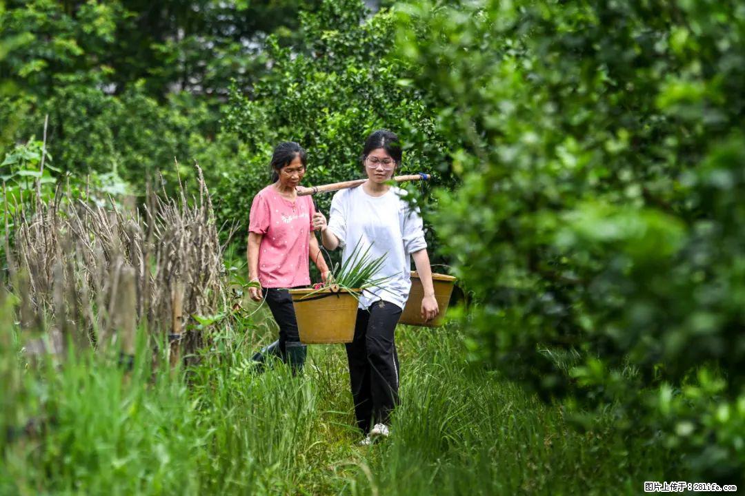 全网追的“扁担女孩”，找了一份暑假工，时薪12元 - 阳江生活资讯 - 阳江28生活网 yj.28life.com