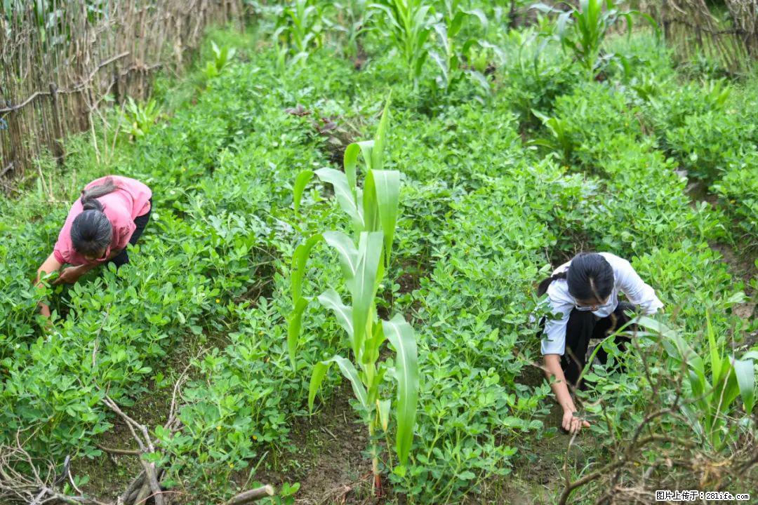 全网追的“扁担女孩”，找了一份暑假工，时薪12元 - 阳江生活资讯 - 阳江28生活网 yj.28life.com