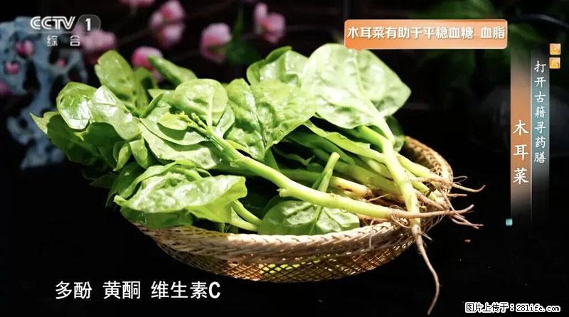 比牛奶补钙还厉害!凉血解毒、稳血糖...这菜冬天必吃,很多人却当草 - 阳江生活资讯 - 阳江28生活网 yj.28life.com