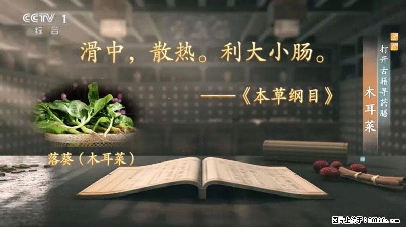 比牛奶补钙还厉害!凉血解毒、稳血糖...这菜冬天必吃,很多人却当草 - 阳江生活资讯 - 阳江28生活网 yj.28life.com