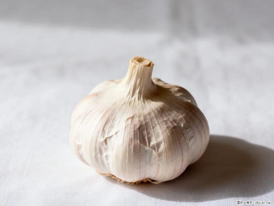 关于大蒜,除了“天然抗生素”,这4个谣言更该警惕! - 阳江生活资讯 - 阳江28生活网 yj.28life.com