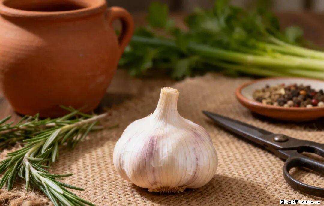 关于大蒜,除了“天然抗生素”,这4个谣言更该警惕! - 阳江生活资讯 - 阳江28生活网 yj.28life.com