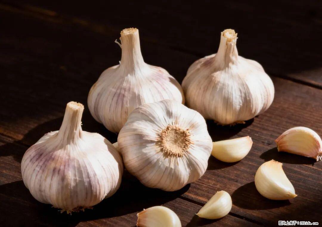 关于大蒜,除了“天然抗生素”,这4个谣言更该警惕! - 阳江生活资讯 - 阳江28生活网 yj.28life.com