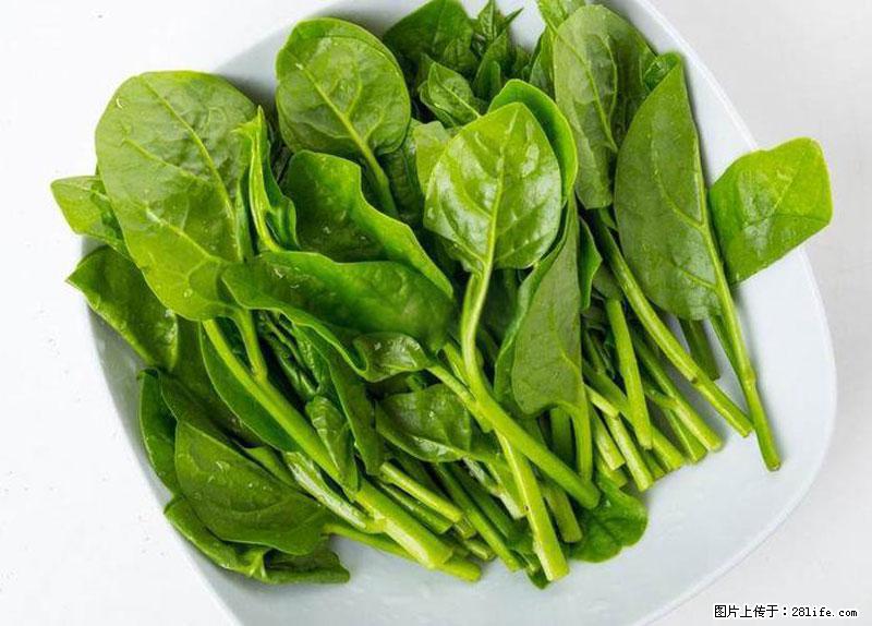这些蔬菜是“天然钙片”,这6种被医生重点推荐 - 阳江生活资讯 - 阳江28生活网 yj.28life.com