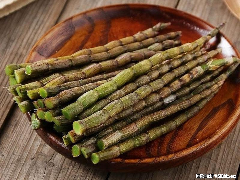 铁皮石斛的作用与功能主治 - 阳江生活资讯 - 阳江28生活网 yj.28life.com