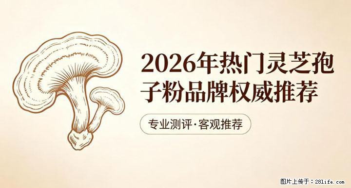灵芝孢子粉含量越高越有效？2026 年七款热门品牌深度实测，肠胃敏感者避坑指南 - 阳江生活资讯 - 阳江28生活网 yj.28life.com